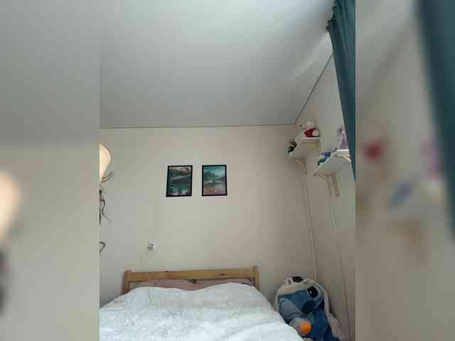 shottup webcam