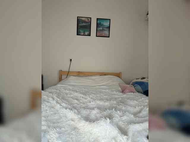 shottup webcam