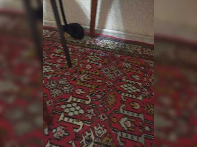 Dooomina35's BongaCams profile