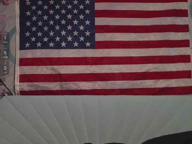 PussyRose webcam