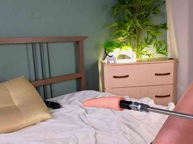 WhiteKelly webcam