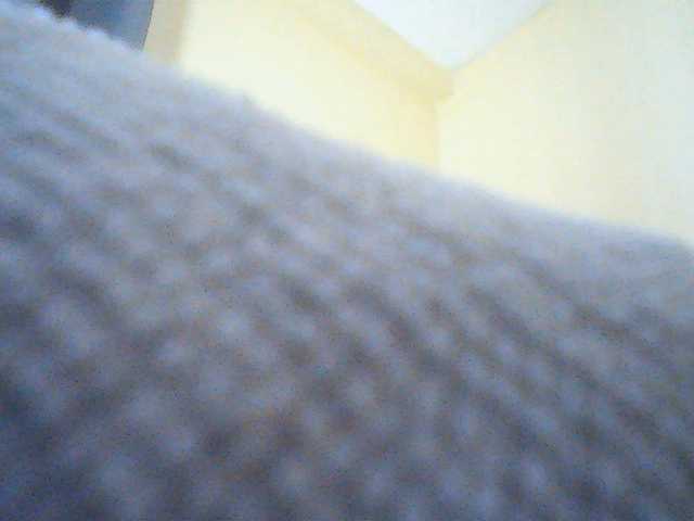 Politegirl live cam on BongaCams