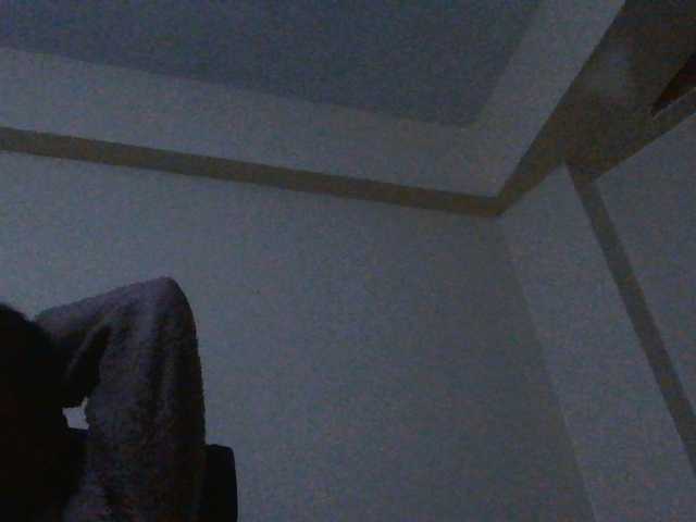 Politegirl live cam on BongaCams