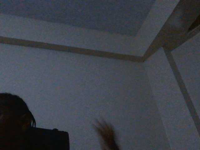 Politegirl live cam on BongaCams
