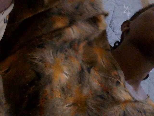 Nymphi