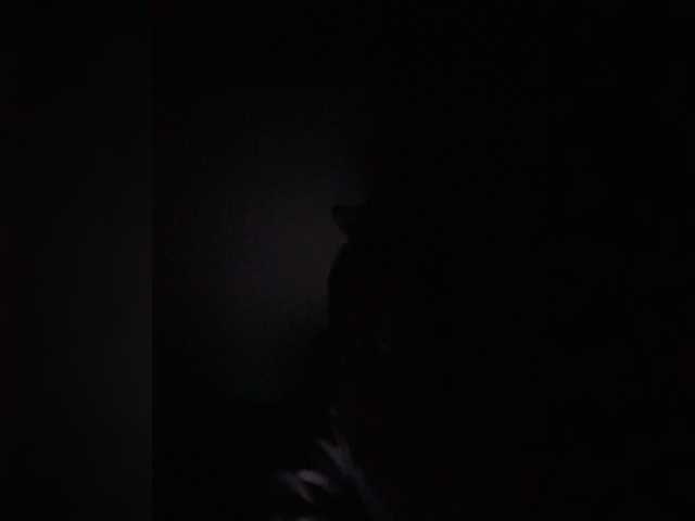 Politegirl live cam on BongaCams