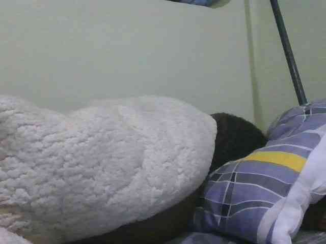 Nymphi webcam