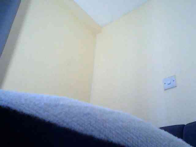 Nymphi