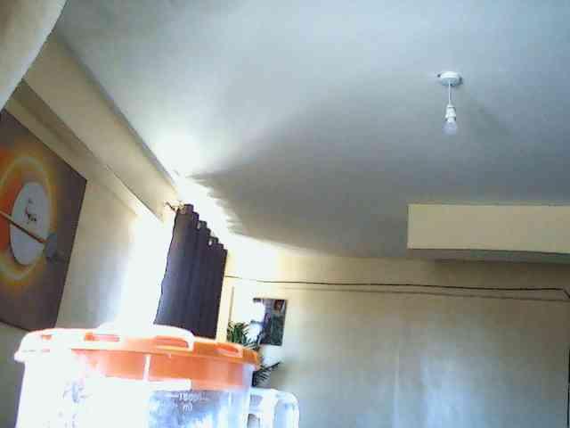 Nymphi webcam