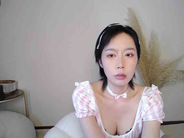 KaWaYi-168 webcam