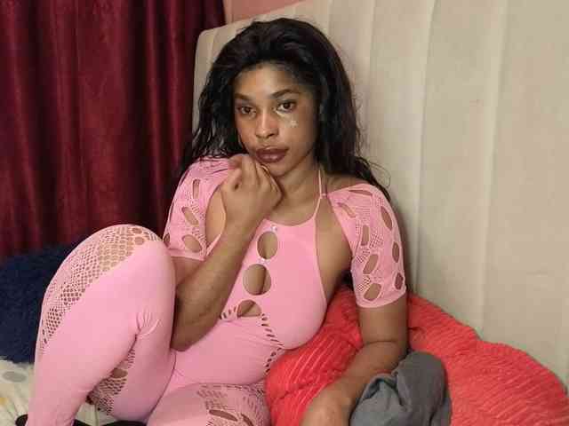 irey webcam