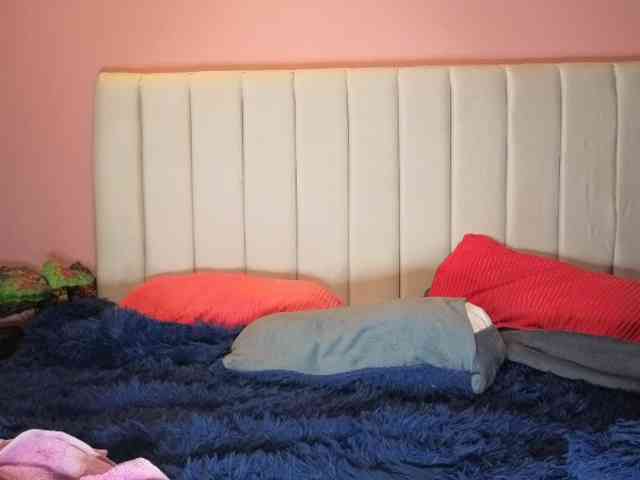 irey webcam