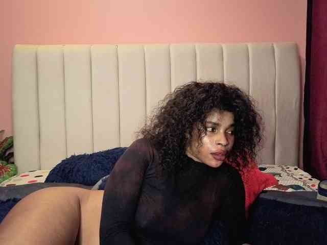 irey webcam