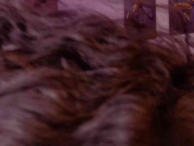 sophisarita webcam