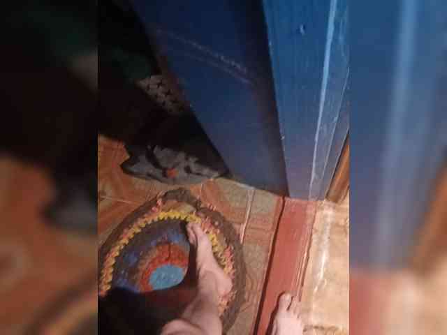 Siroga369 Siroga369