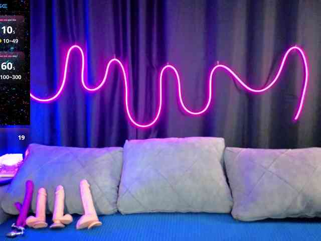 SlyFoxyWeb webcam