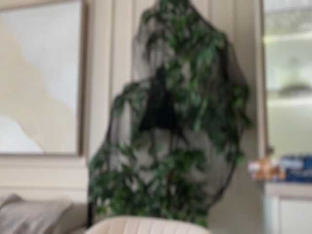 claireheart live cam on BongaCams