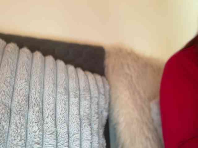 claireheart webcam