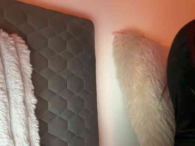 claireheart webcam
