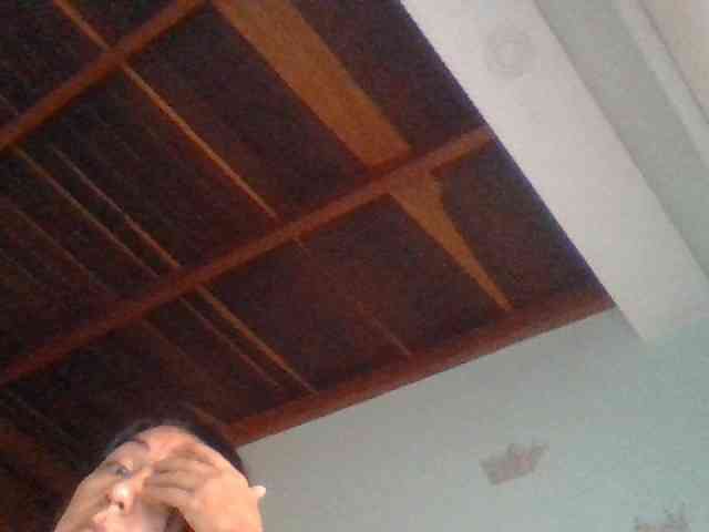 Vulma5 webcam