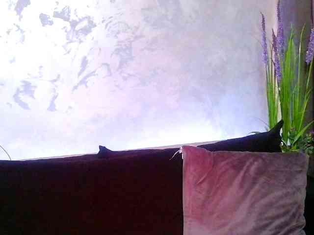 Aahedaysy webcam