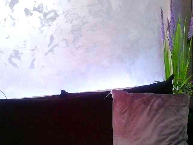 Aahedaysy webcam