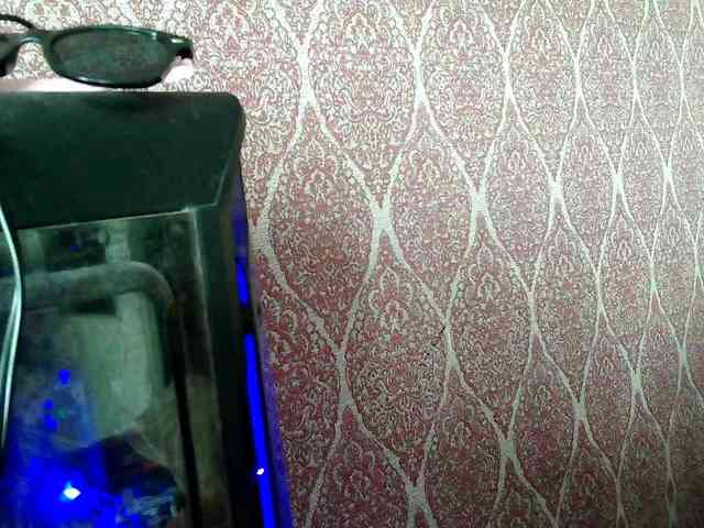 XLisaBlueX webcam