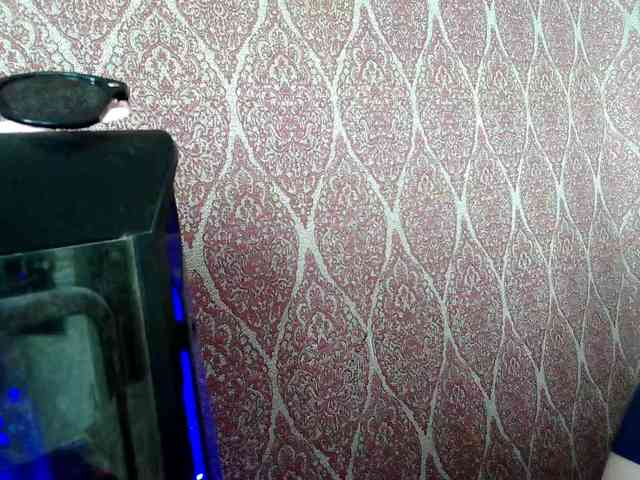 XLisaBlueX webcam