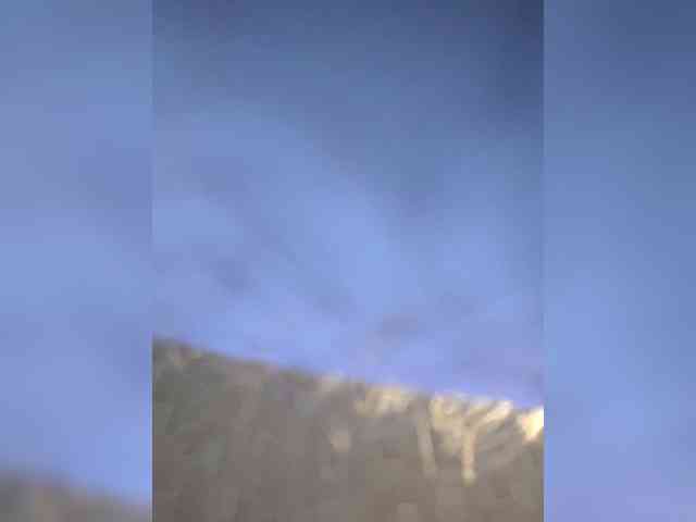 Poly077