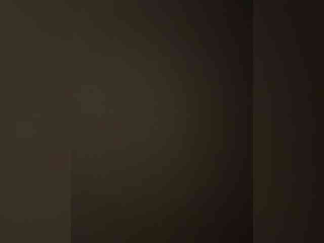 Lospapis31 webcam