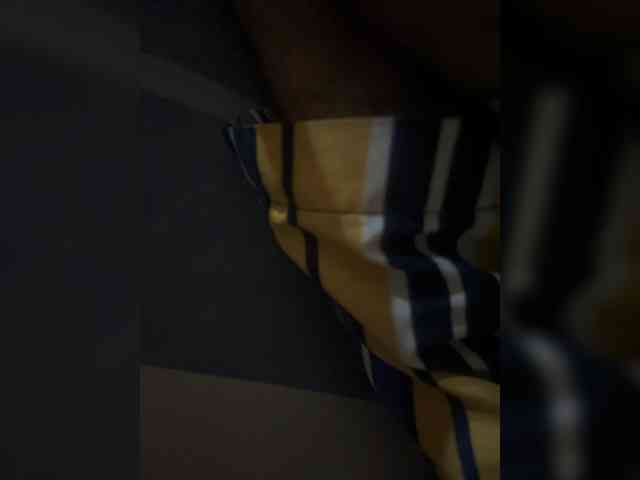 Lospapis31 webcam