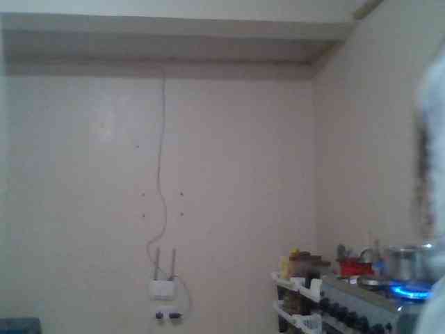 Dollybi1 webcam