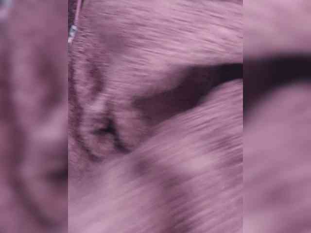 dangerouspassion Live Webcam on BongaCams