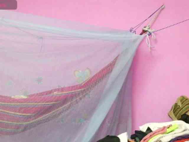 Natzuchoi webcam
