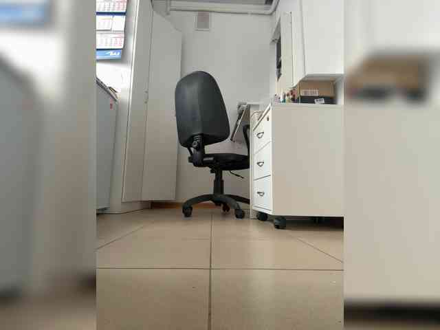 Lapula webcam