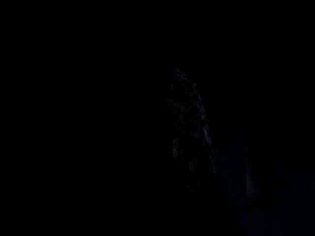 Adon29 Sex Cam Show