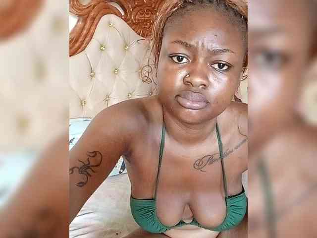 Bustychichi webcam