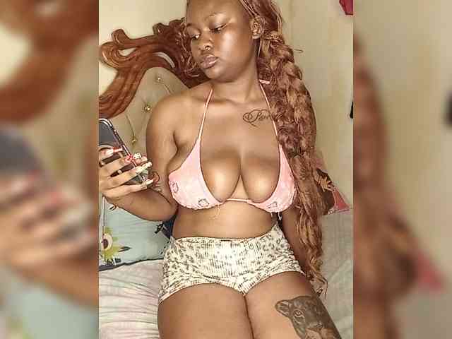 Bustychichi webcam