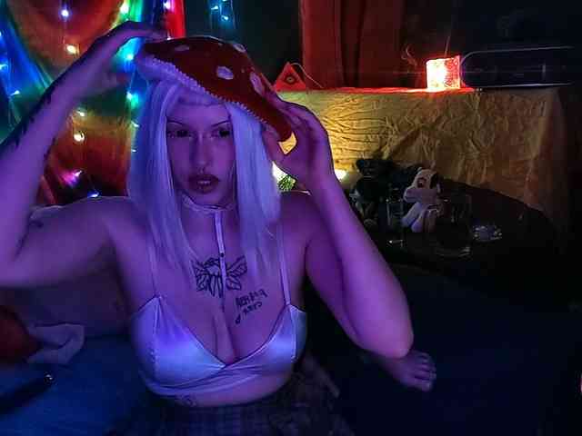 Harakassi webcam