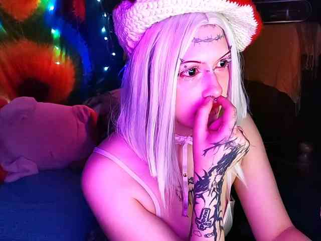 Harakassi webcam