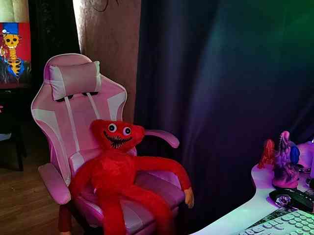 Harakassi webcam