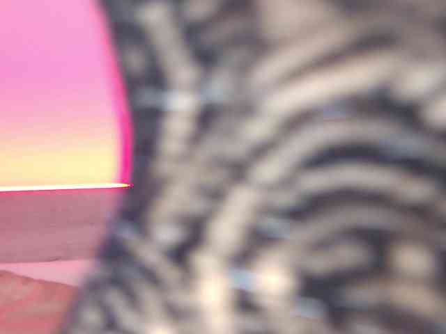 AnyaLobb
