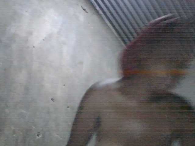 jojoosiwa live cam on BongaCams