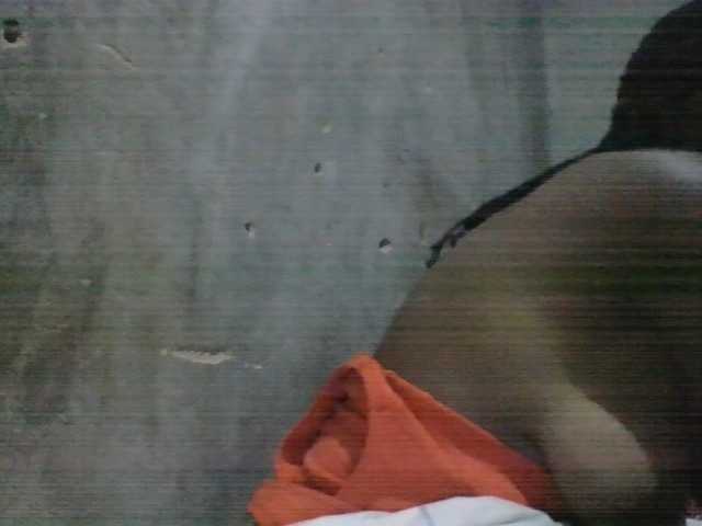 jojoosiwa live cam on BongaCams