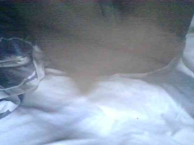 jojoosiwa webcam