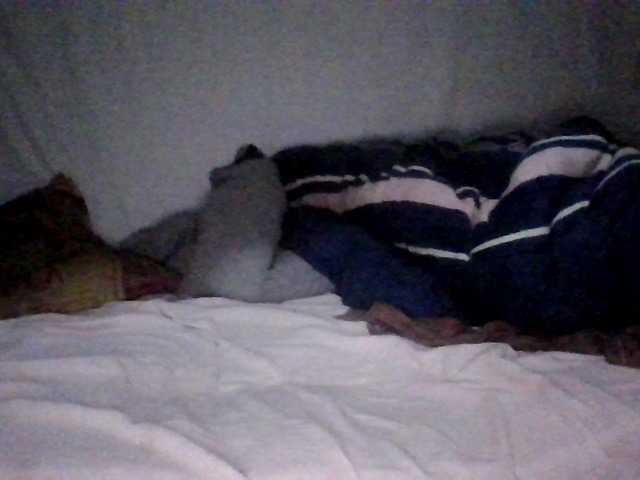 Preview of prettylove