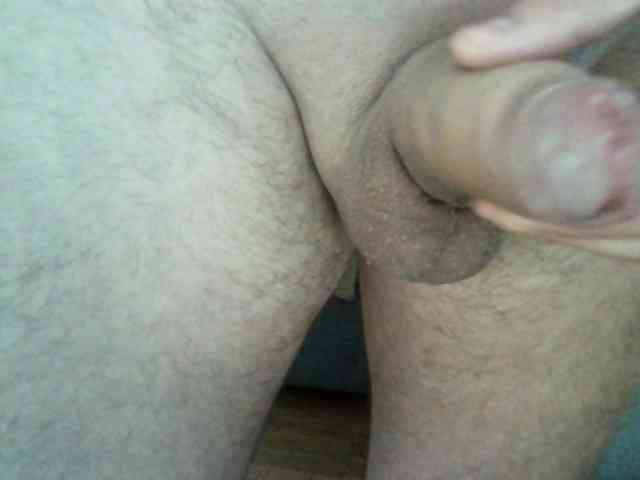 Sex81a