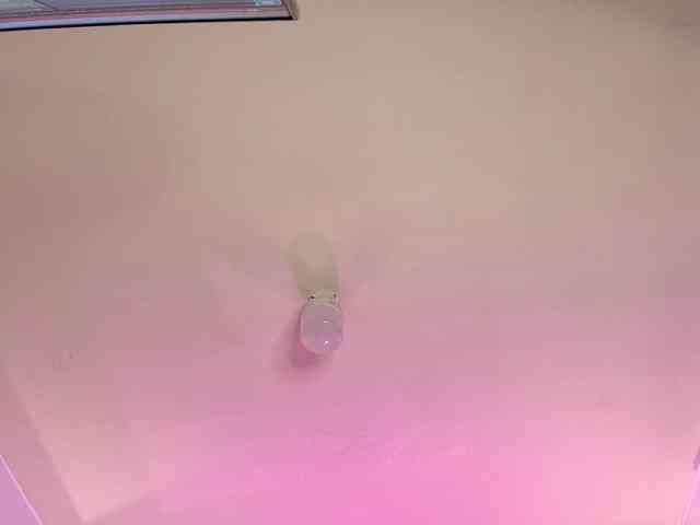 LittleKloe webcam
