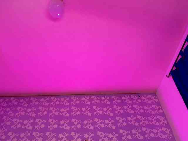 LittleKloe webcam