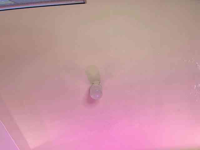 LittleKloe webcam